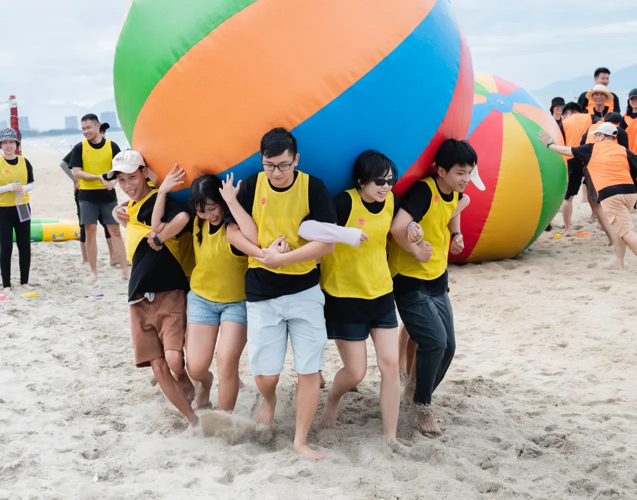 About us cultivating 8